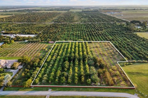 Commercial property in Homestead, Florida № 1811160 - photo 1