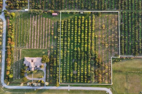 Commercial property in Homestead, Florida № 1811160 - photo 9