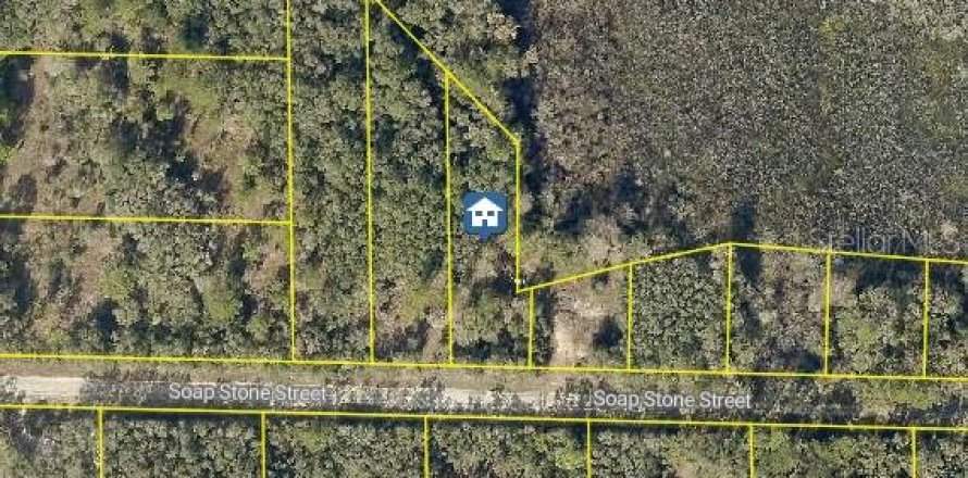 Land in Webster, Florida № 2235059