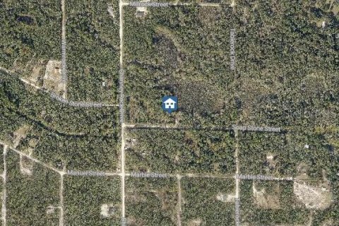 Land in Webster, Florida № 2235059 - photo 3