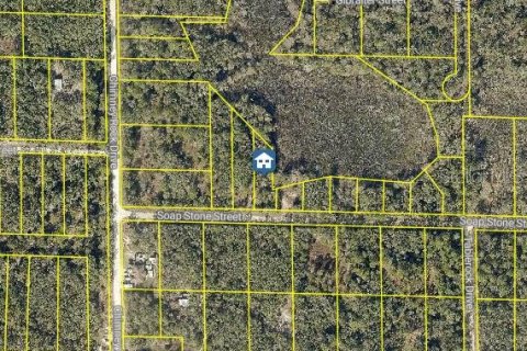 Land in Webster, Florida № 2235059 - photo 2