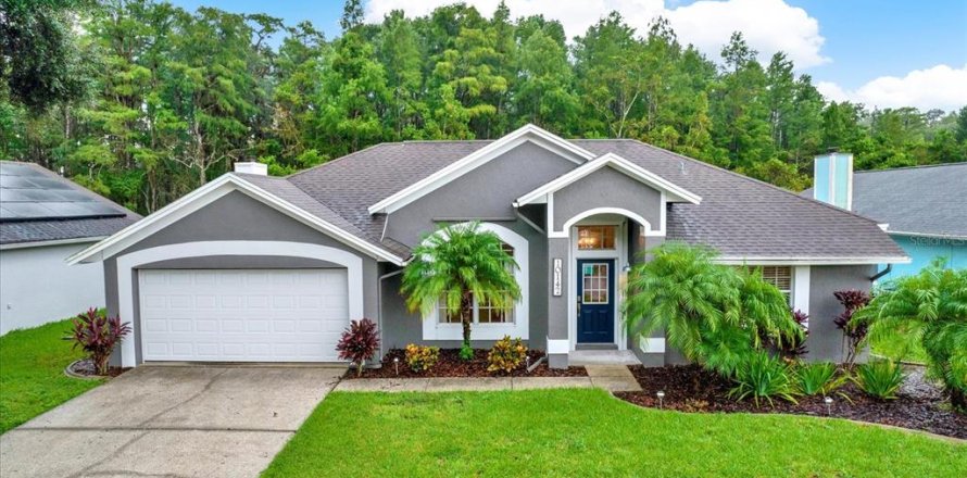 Casa en New Port Richey, Florida 4 dormitorios, 194.54 m2 № 1907551