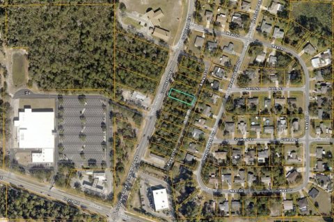 Land in Deltona, Florida № 2394133 - photo 3