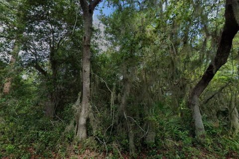 Land in Deltona, Florida № 2394133 - photo 4