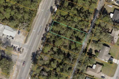 Land in Deltona, Florida № 2394133 - photo 2