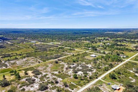 Land in Avon Park, Florida № 2159945 - photo 14