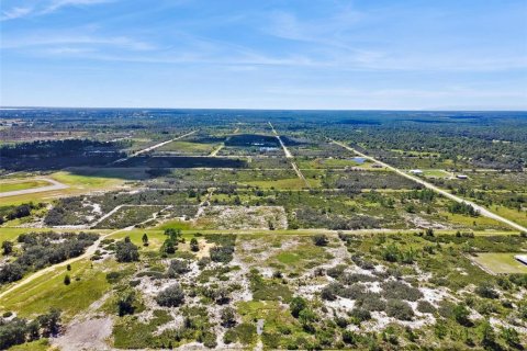 Land in Avon Park, Florida № 2159945 - photo 9