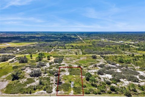 Land in Avon Park, Florida № 2159945 - photo 23