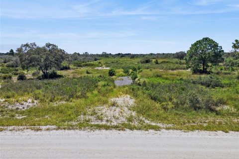 Land in Avon Park, Florida № 2159945 - photo 3