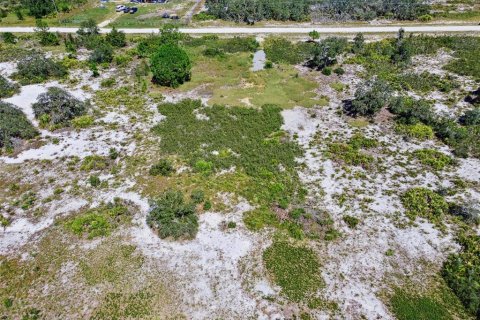 Land in Avon Park, Florida № 2159945 - photo 17