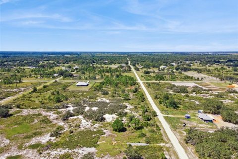 Land in Avon Park, Florida № 2159945 - photo 5