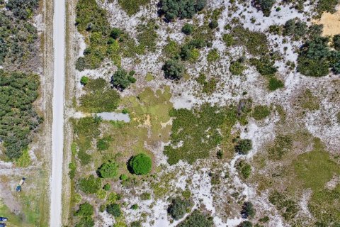 Land in Avon Park, Florida № 2159945 - photo 8