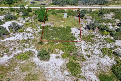 Land in Avon Park, Florida № 2159945 - photo 22