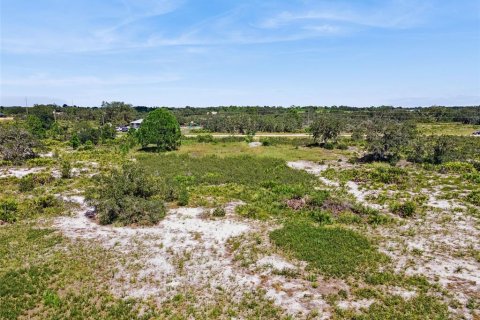 Land in Avon Park, Florida № 2159945 - photo 15