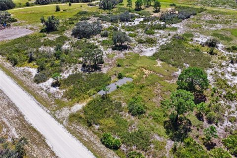 Land in Avon Park, Florida № 2159945 - photo 10