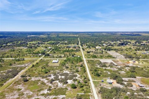 Land in Avon Park, Florida № 2159945 - photo 4