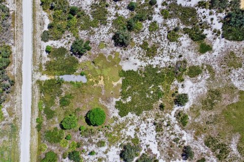Land in Avon Park, Florida № 2159945 - photo 16
