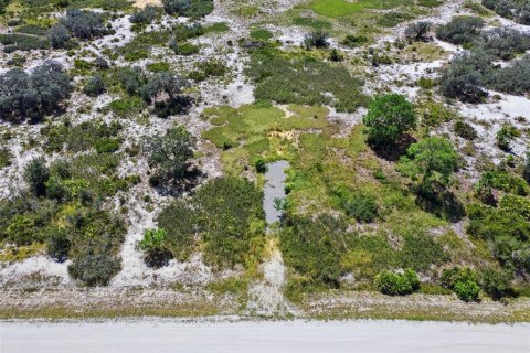 Land in Avon Park, Florida № 2159945 - photo 7