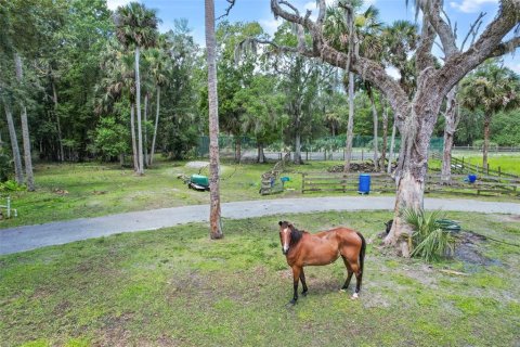 Casa en venta en Geneva, Florida, 4 dormitorios, 277.31 m2 № 1796765 - foto 14