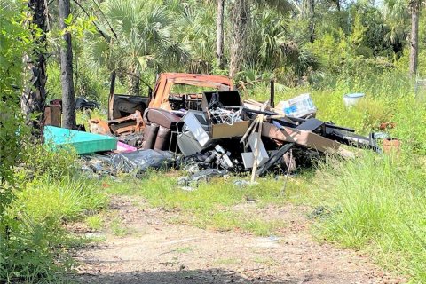 Land in Lehigh Acres, Florida № 2160924 - photo 5