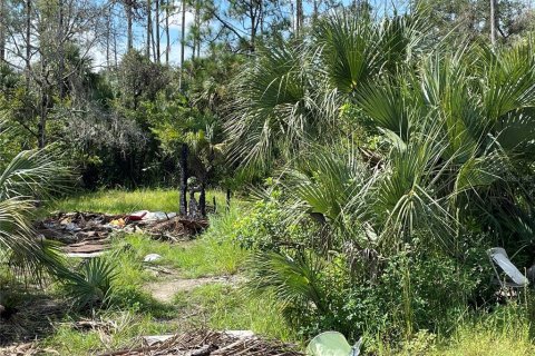 Land in Lehigh Acres, Florida № 2160924