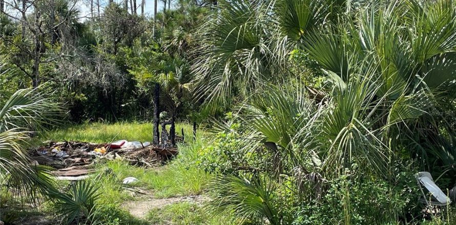 Land in Lehigh Acres, Florida № 2160924
