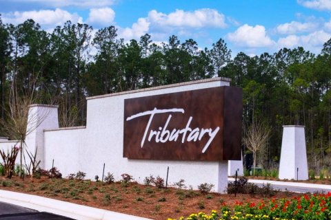 Tributary - Lakeview at Tributary 60's sobre plano en Yulee, Florida № 476232 - foto 1