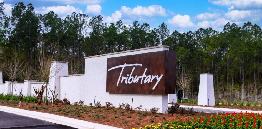 Tributary - Lakeview at Tributary 60's sobre plano en Yulee, Florida № 476232