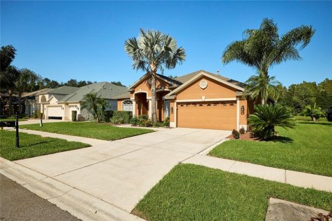 Villa ou maison à vendre à Tampa, Floride: 4 chambres, 269.23 m2 № 2420282 - photo 2