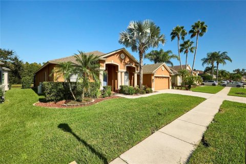 Villa ou maison à vendre à Tampa, Floride: 4 chambres, 269.23 m2 № 2420282 - photo 3