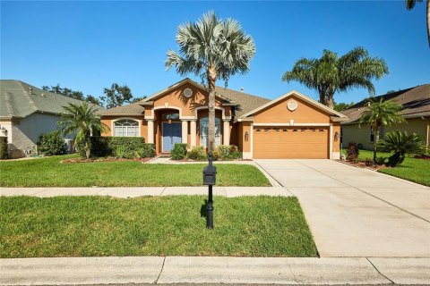 Villa ou maison à Tampa, Floride 4 chambres, 269.23 m2 № 2420282