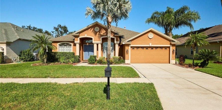 Villa ou maison à Tampa, Floride 4 chambres, 269.23 m2 № 2420282