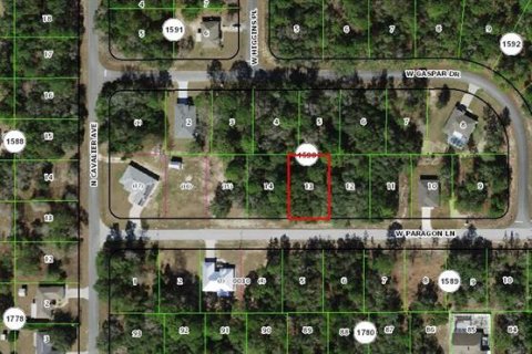 Land in Citrus Springs, Florida № 2162765