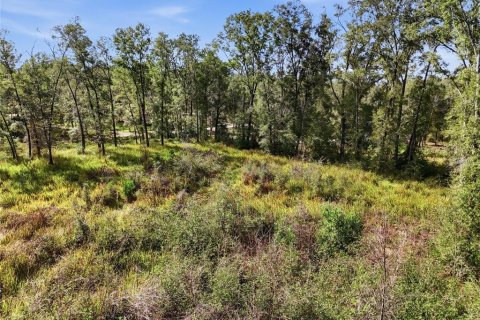 Terreno en venta en Trenton, Florida № 2222016 - foto 6