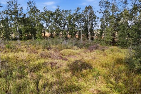 Terreno en venta en Trenton, Florida № 2222016 - foto 7