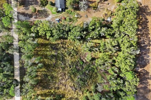 Terreno en venta en Trenton, Florida № 2222016 - foto 4