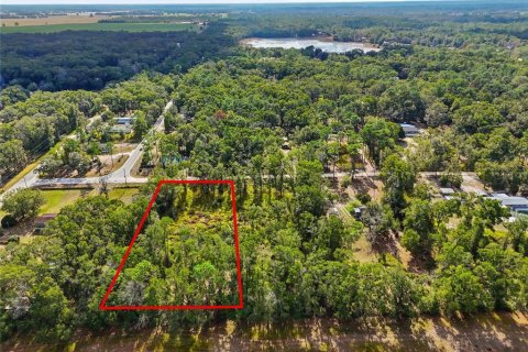 Terreno en venta en Trenton, Florida № 2222016 - foto 2