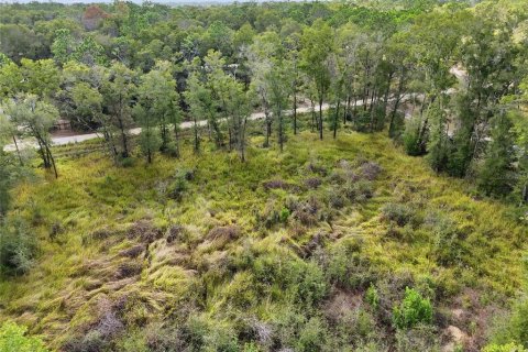 Terreno en venta en Trenton, Florida № 2222016 - foto 5