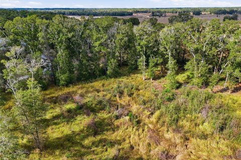 Terreno en venta en Trenton, Florida № 2222016 - foto 8
