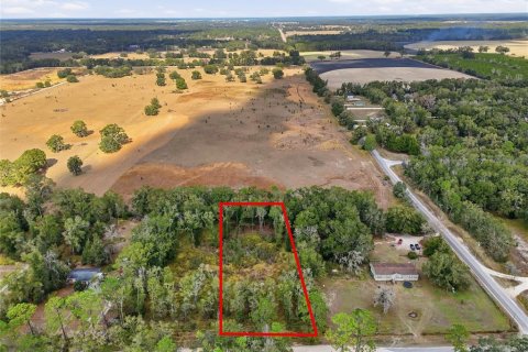Terreno en venta en Trenton, Florida № 2222016 - foto 3