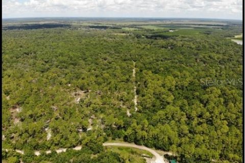 Land in Zolfo Springs, Florida № 1316765 - photo 29