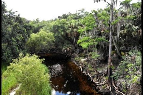 Land in Zolfo Springs, Florida № 1316765 - photo 30