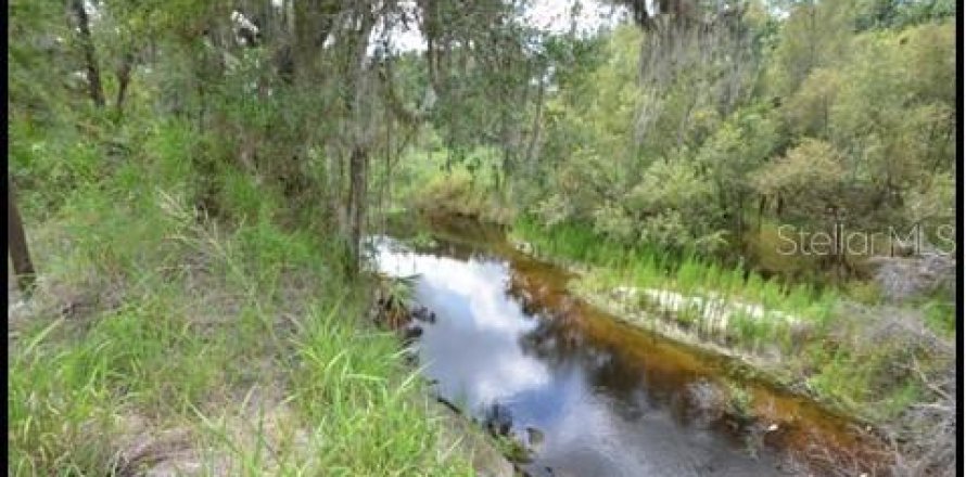 Land in Zolfo Springs, Florida № 1316765