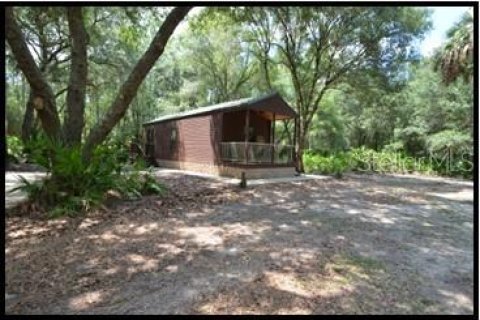 Land in Zolfo Springs, Florida № 1316765 - photo 12