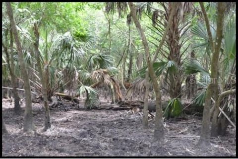 Land in Zolfo Springs, Florida № 1316765 - photo 4