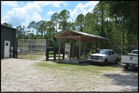 Land in Zolfo Springs, Florida № 1316765 - photo 25