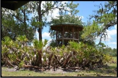 Land in Zolfo Springs, Florida № 1316765 - photo 3
