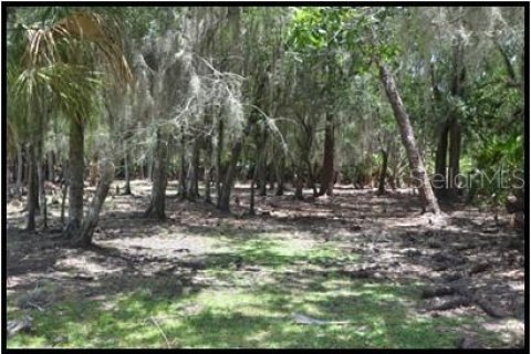 Land in Zolfo Springs, Florida № 1316765 - photo 6