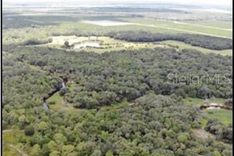 Land in Zolfo Springs, Florida № 1316765 - photo 28
