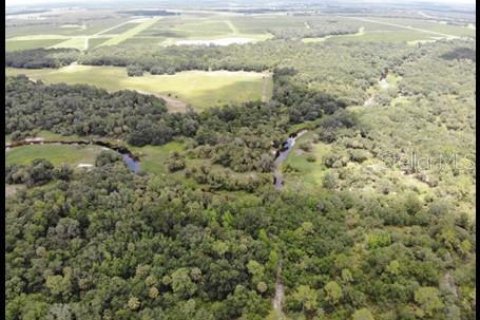 Land in Zolfo Springs, Florida № 1316765 - photo 26
